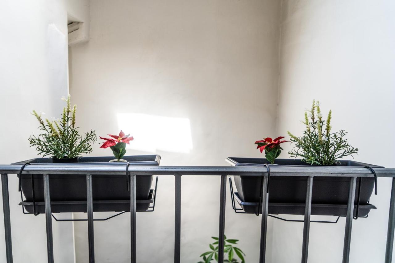 Le Triplex Les Halles Intra Muros アヴィニョン エクステリア 写真
